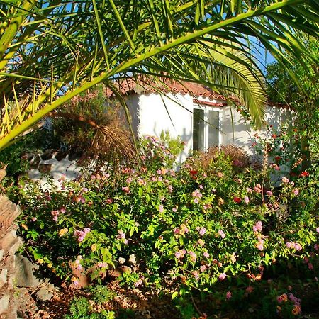 Finca Cosmos El Paso Dış mekan fotoğraf