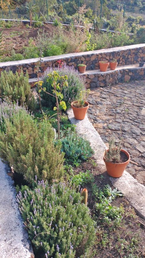Finca Cosmos El Paso Dış mekan fotoğraf