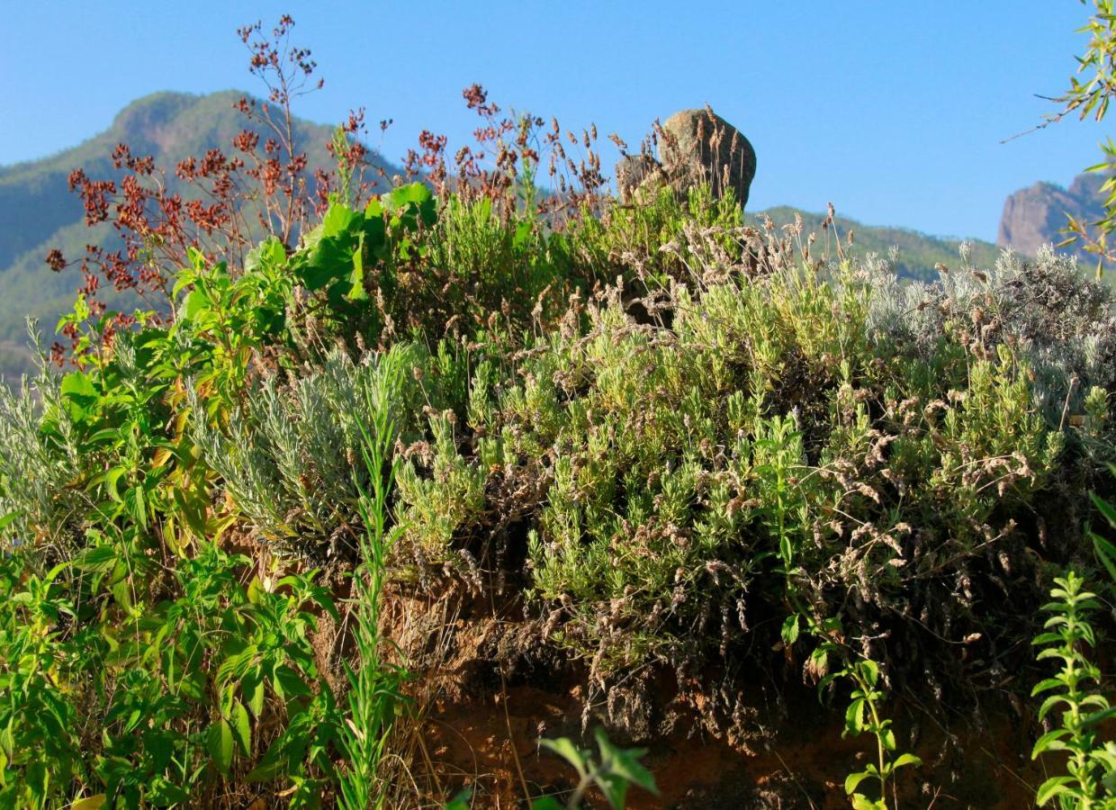 Finca Cosmos El Paso Dış mekan fotoğraf